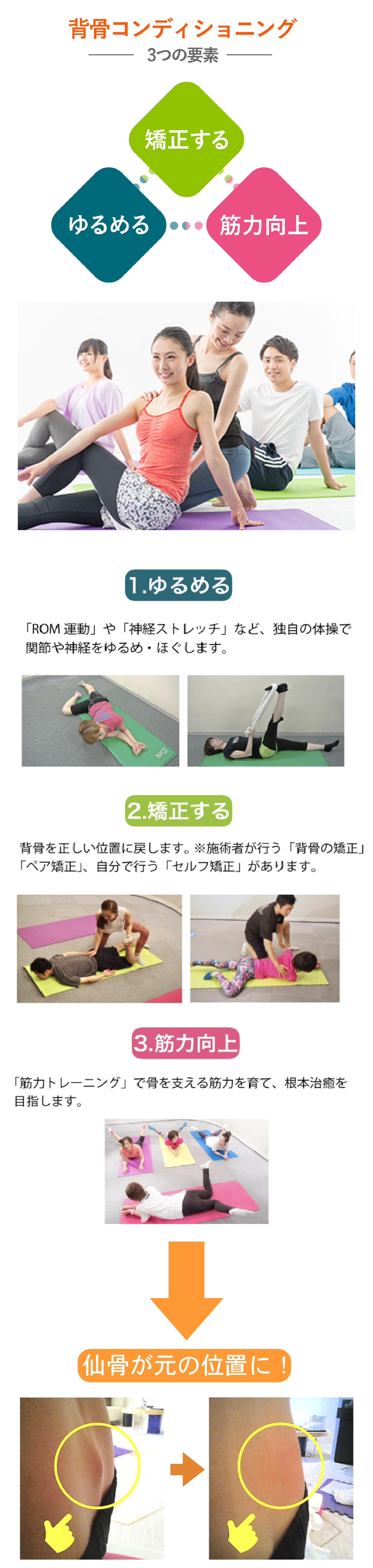期間限定キャンペーン 腰痛解決講座 一般社団法人 背骨コンディショニング協会 期間限定キャンペーン 腰痛解決講座 一般社団法人 背骨コンディショニング協会